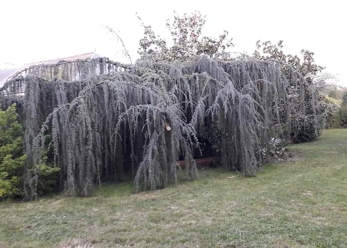 Les plus beaux hôtels au bord de l'eau à Mer