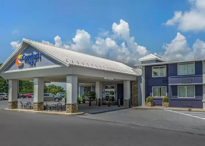 Top Denver Cherry Creek Hotels for a Lavish Stay