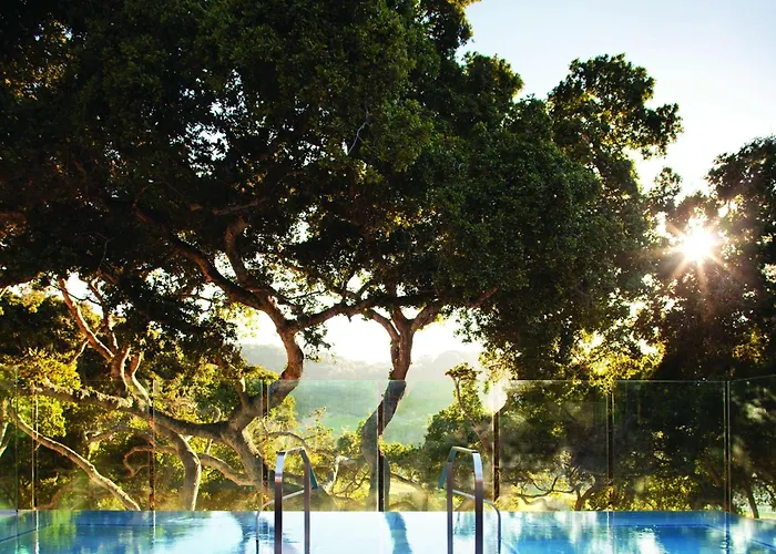 Top Hotels Near Carmel Valley CA for a Serene Escape